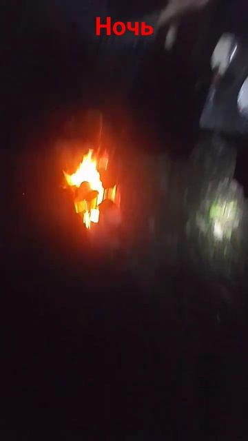 #ночь#мотылёк#разговоры