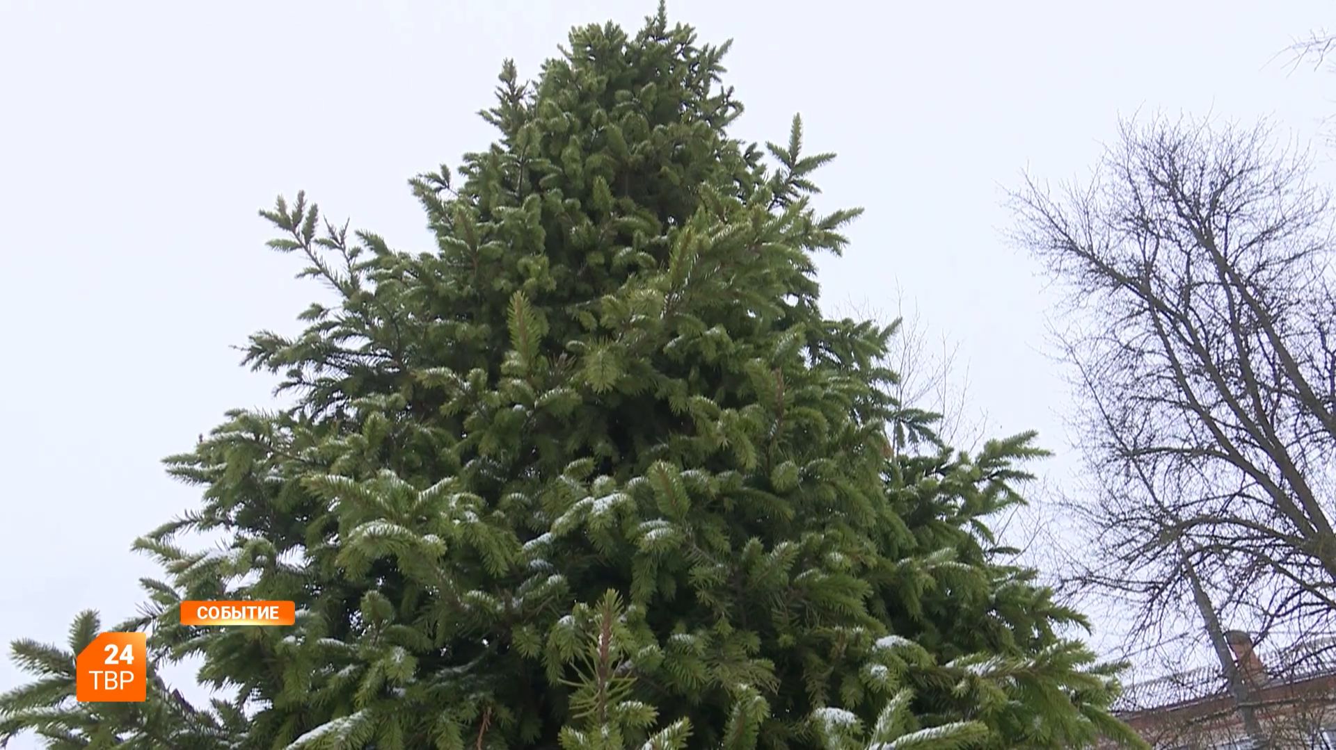 Елка на Клементьевке зажжёт огни