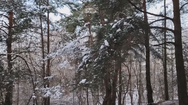 Новости из мира финансов и не только. Сим-карты. Мошенники и ЖКХ. Другие новости