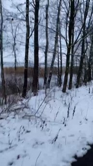 Пульс при выполнении кардио