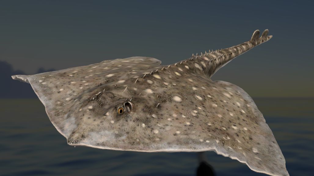 Русская Рыбалка 4 !!!