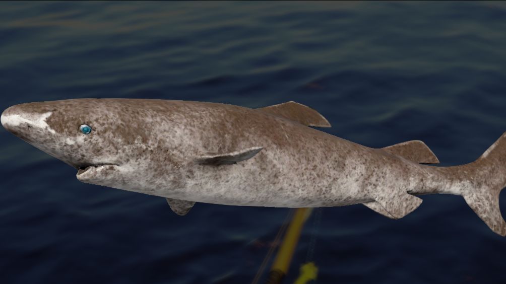 Русская Рыбалка 4 !!!