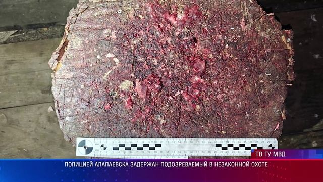 Полицией Алапаевска задержан подозреваемый в незаконной охоте