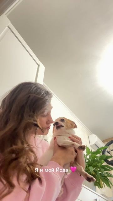 #собака #этолюбовь