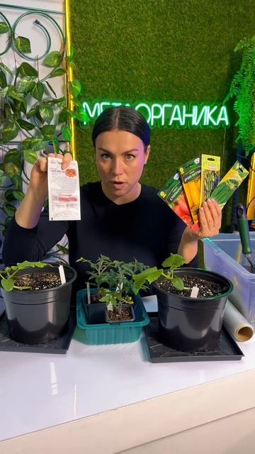 Как выбрать семена для домашнего огорода