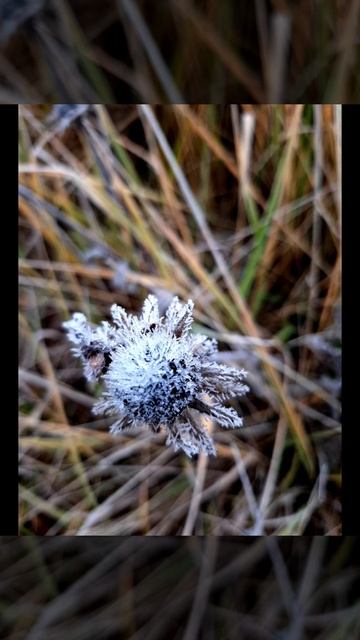 Таким был ноябрь 2023 г. ( воспоминание)