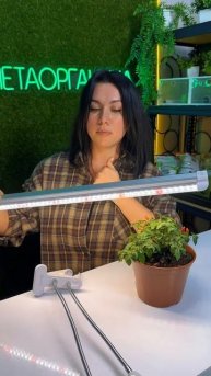 Как выбрать фитолампу