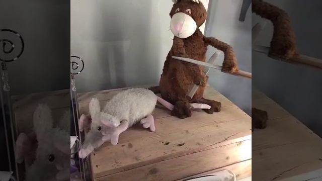 Мурмарий Зеленоградск