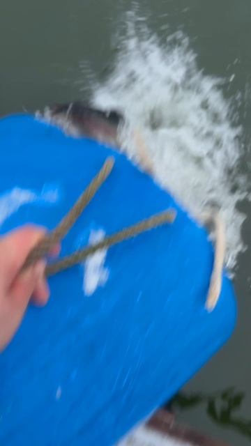 Запуск форели  45 кг