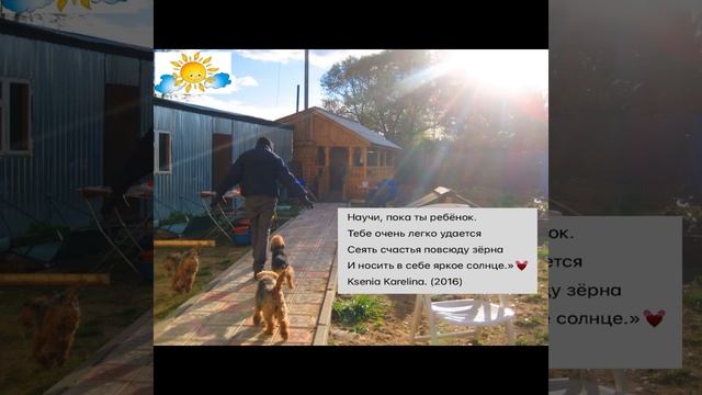 День ребёнка-Ноябрь-2025