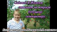 Садовод В.Железов отвечает на вопросы будущему селекционеру.