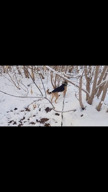 1000008992.mp4 Типа прогулка