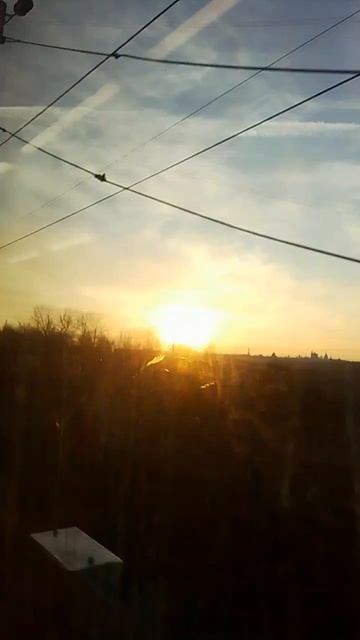 Солнце над полем