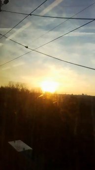 Солнце над полем