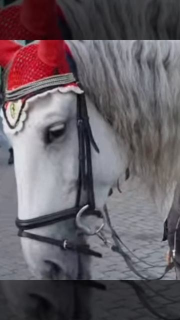 Дивный сон. (слова Александр Силаев)