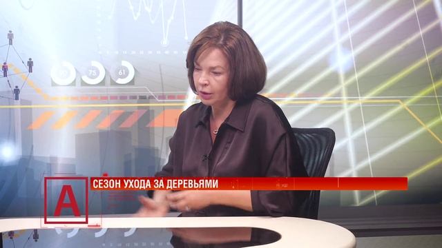 Светлана Сердюк: «Обрезка деревьев регулируется местными нормами, поэтому и режут, как хотят»