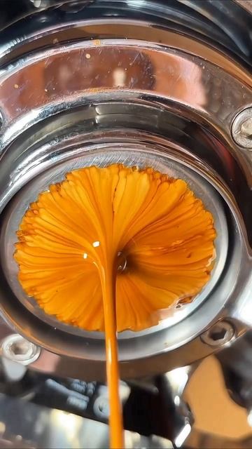 like cofe Wb #16829735 Ozon #238358855