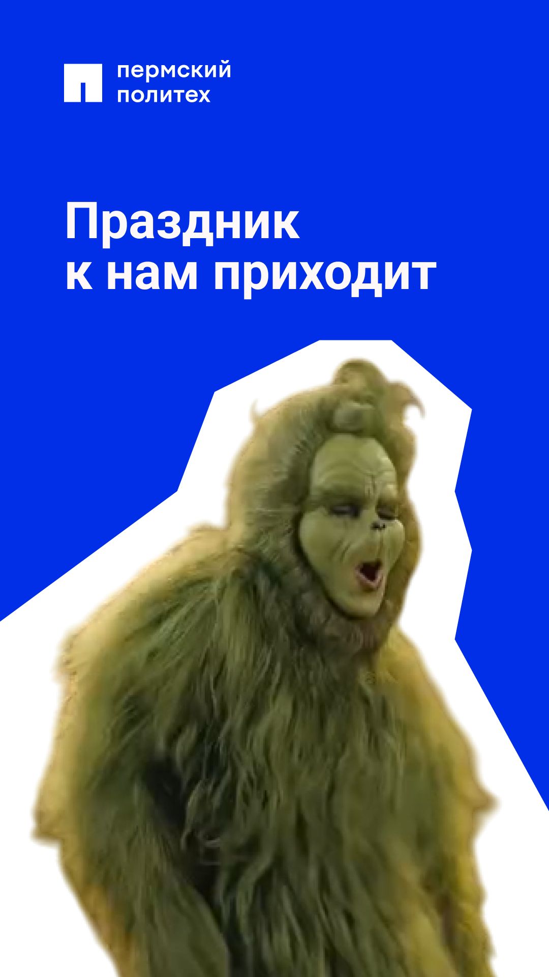 Поймал новогоднее настроение за хвост!