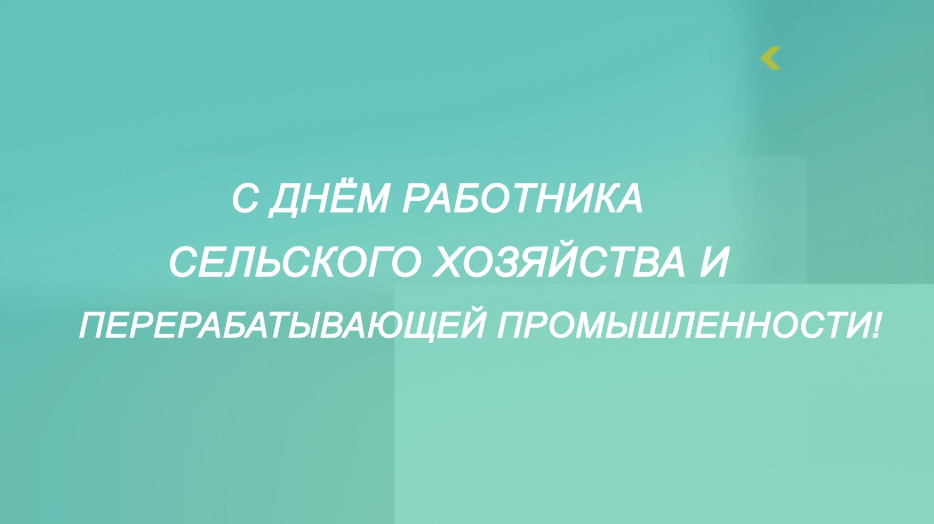 Ко Дню работника сельского хозяйства и перерабатывающей промышленности 2025 год