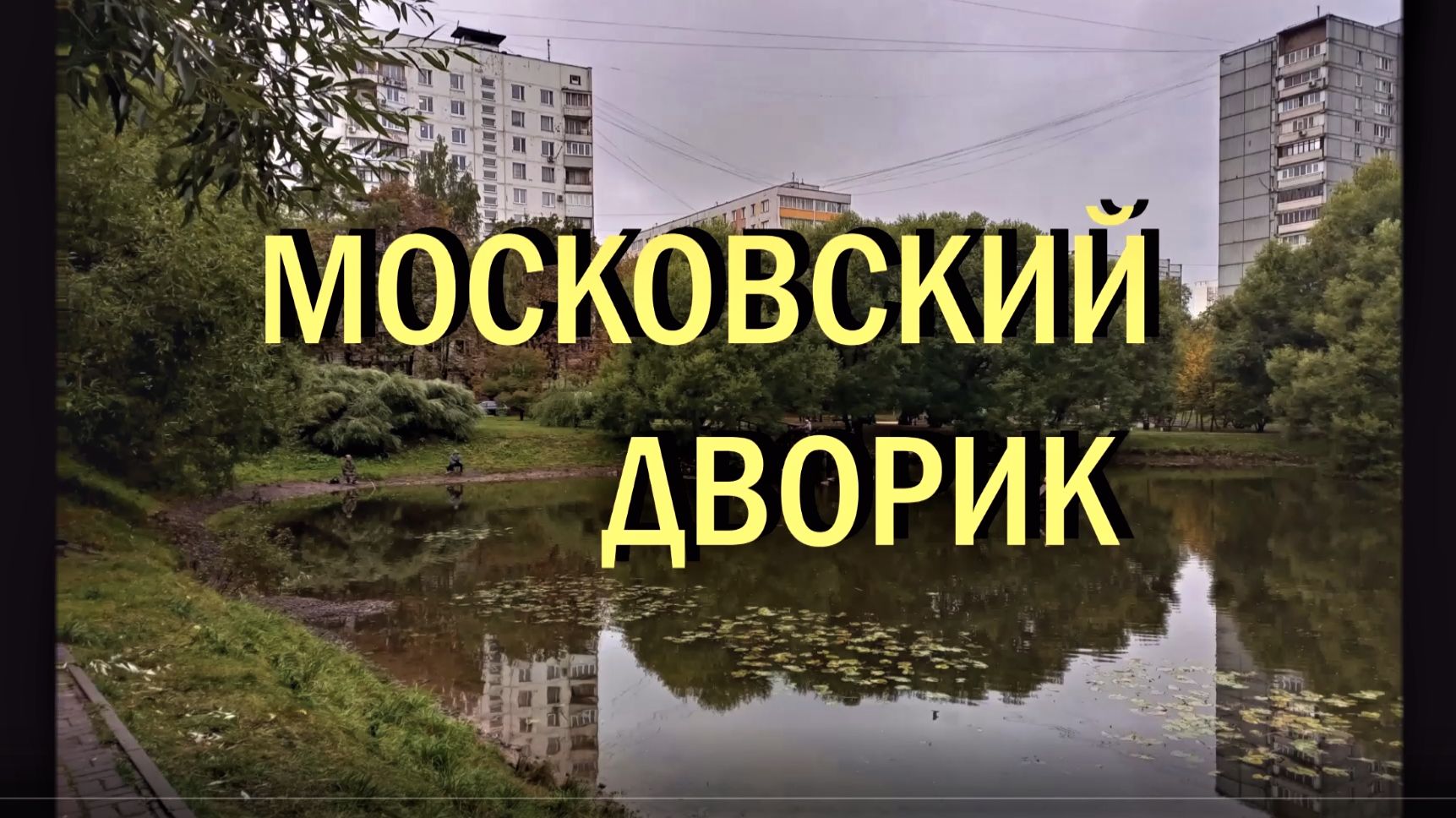 Московский дворик сентябрь 2022 г.