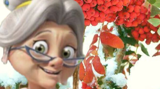 Секреты хозяйки