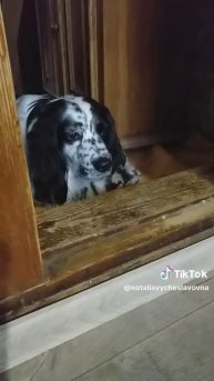 Черный список...)))