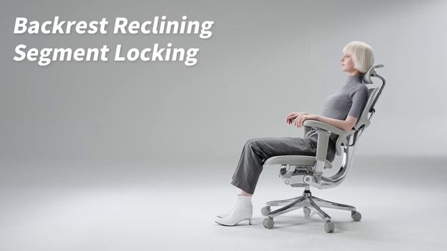 COMFORT WORKSPACE ERGOHUMAN 2 SE ST - функции, настройка