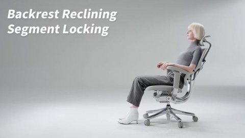 COMFORT WORKSPACE ERGOHUMAN 2 SE ST - функции, настройка