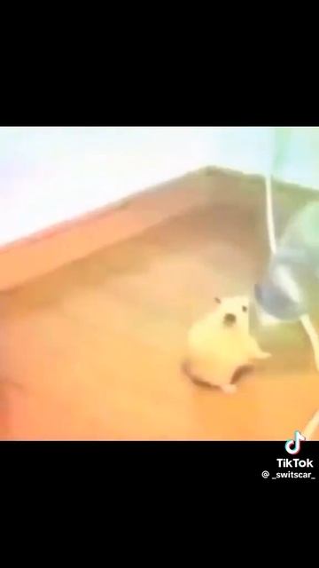 a78b20323bbf0d8e9081220ff0ed0294.mp4