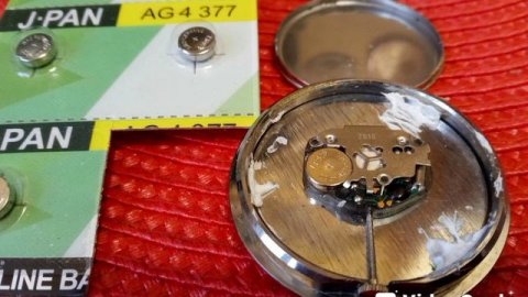 Посетил Озон