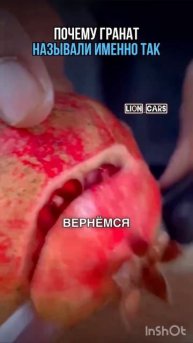 #lion_cars #цитаты #подписка #топ #рек #лайк #интересно #полезное