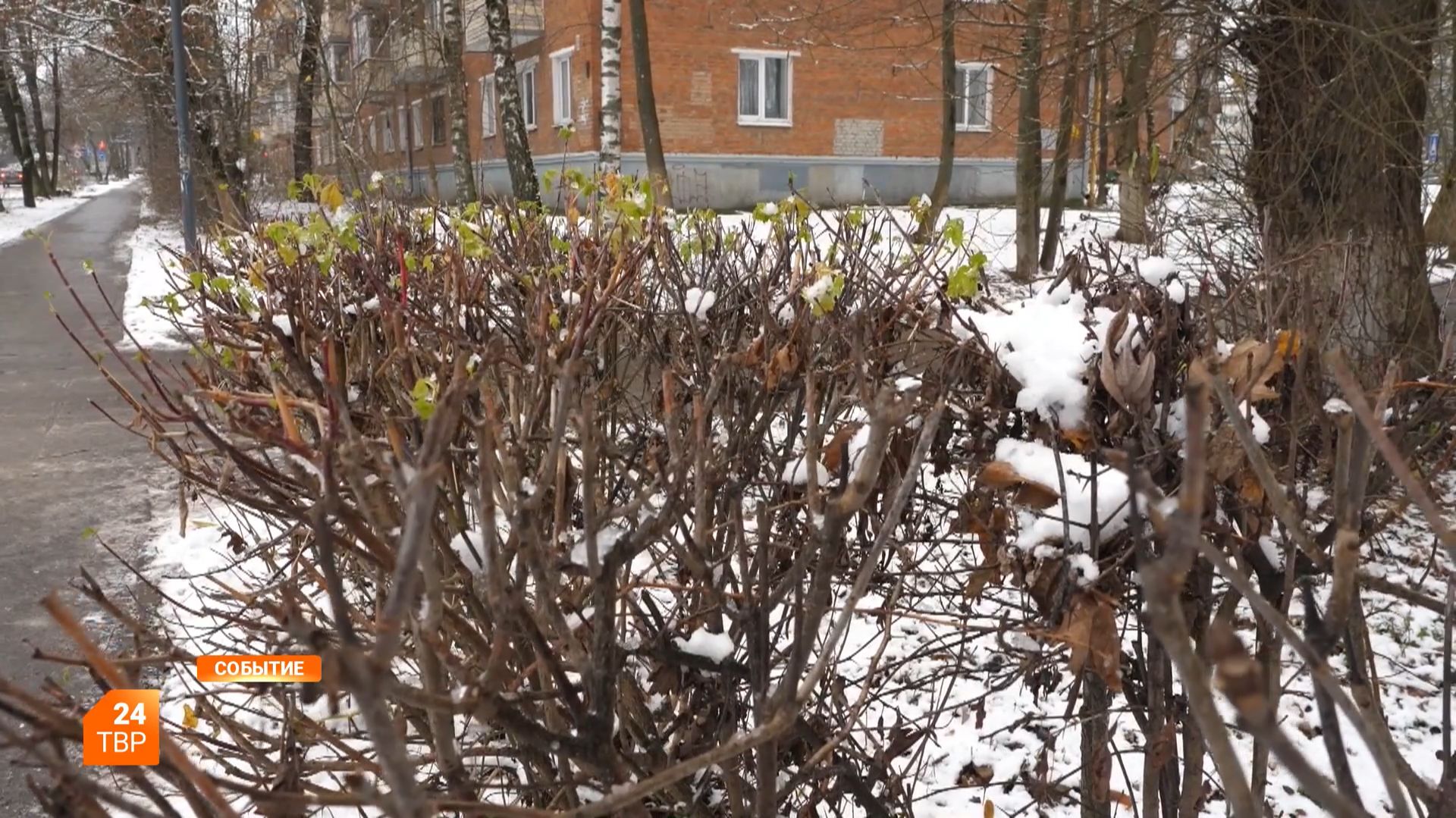 Прогноз погоды