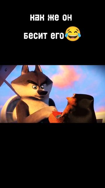 Пингвины из Мадагаскара