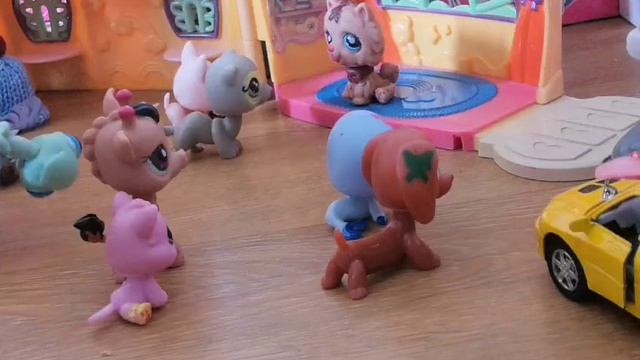 Непохожие близняшки