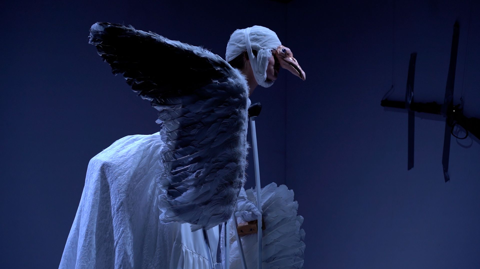 «ЧАЙКА» НА КАМЧАТКЕ