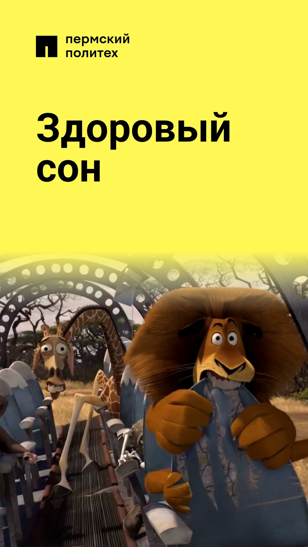 Командная работа? Выспался за всех