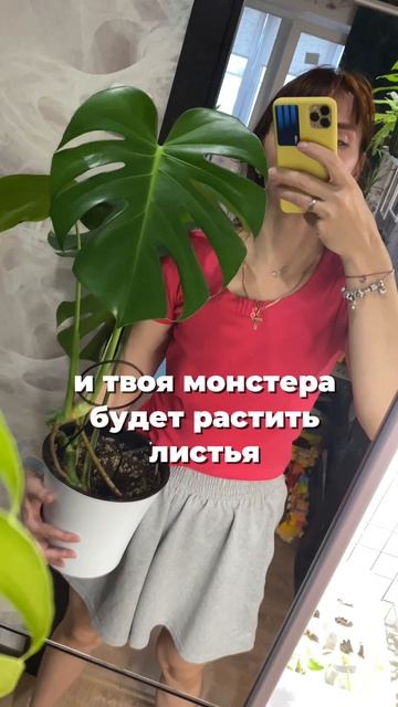 Ссылка под видео 💚