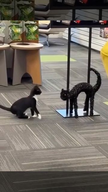 Что ты такое?🤯