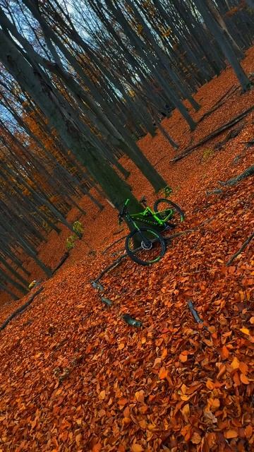 Красавец не так ли? 😉