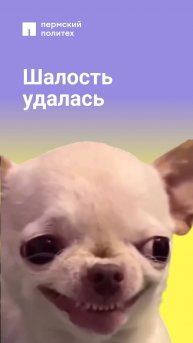 И тогда он мысленно решает, что этот вопрос обязательно будет в билете