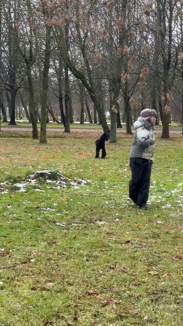 Питерский парк у Лахта центра