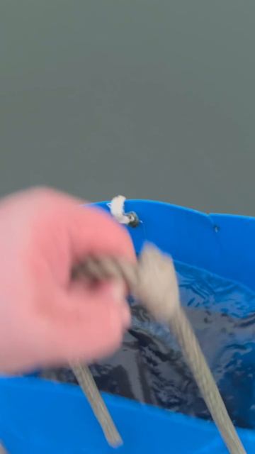 Запуск форели  130 кг