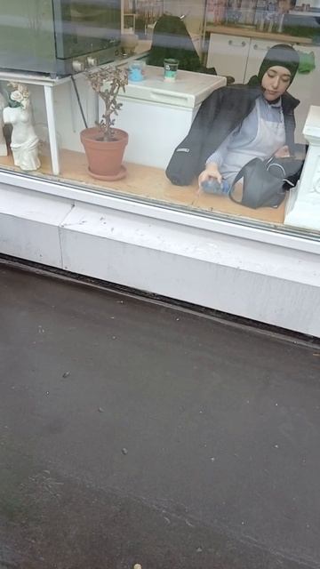 преобрженская другая смена у них война