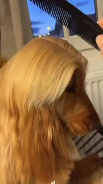 модники #shorts