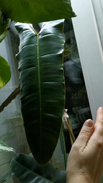 YouCut_20251121_200025231.mp4