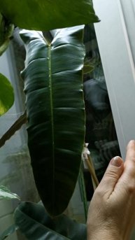 YouCut_20251121_200025231.mp4