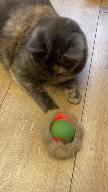 Ну вот и поиграли.