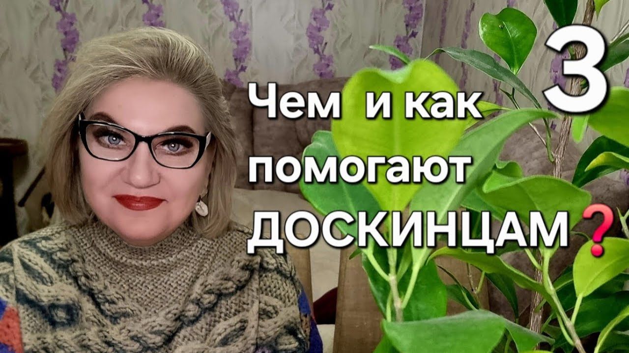 Чем и как помогают ДОСКИНЦАМ❓️