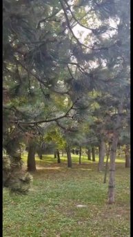 Анапа.22 ноября