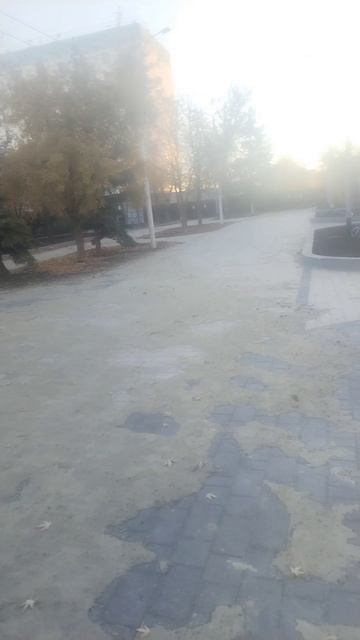 У нас  в Волгодонске в  парке зяли насыпали